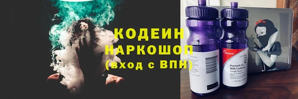 гидра Арсеньев