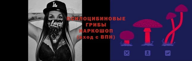 соль ск Аркадак