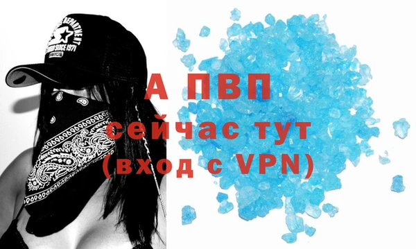 гидра Арсеньев