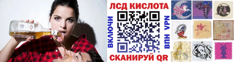 дарнет шоп  Майкоп  Марки NBOMe 1500мкг 